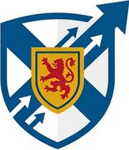 NS Logo